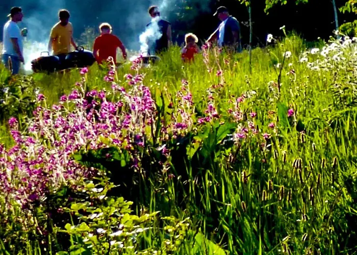 The Oaks Tent Pitches With No Accommodation Supplied And You Must Bring Your Own Tent