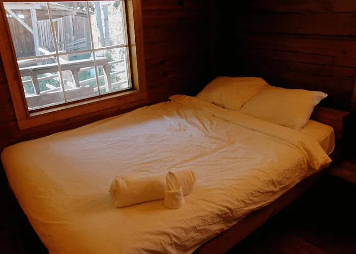 Rustic Beaverfoot Lodge