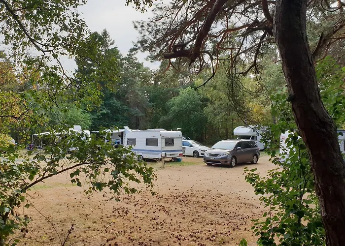 First Camp Lilleby