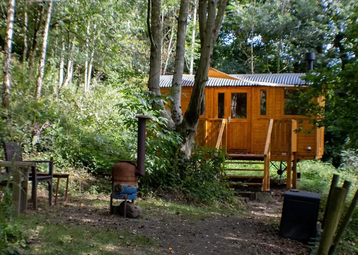 Peggy'S Cabin In The Woods