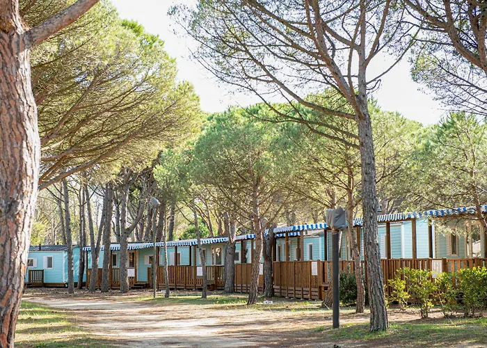 Albatross Mobile Homes On Camping Playa Brava