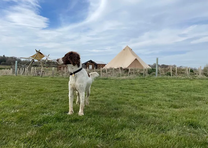 Bain View Glamping