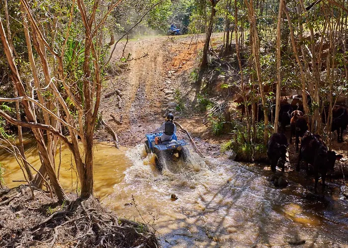 Kur-Cow Farm Escape 35 Minutes From Cairns