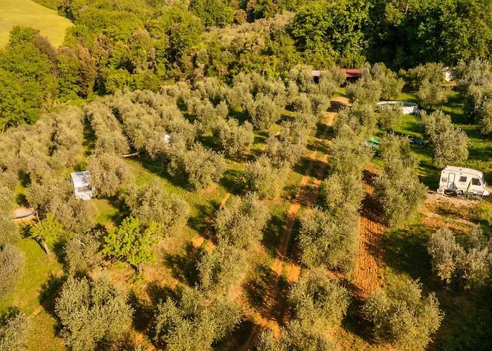 Paradise Agricamp