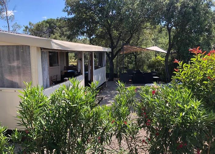 Mobile-Home Aux Cigales Le Muy 4-6 Personnes,Exterieur Xxl Pergola ,Veranda Salon Jardin