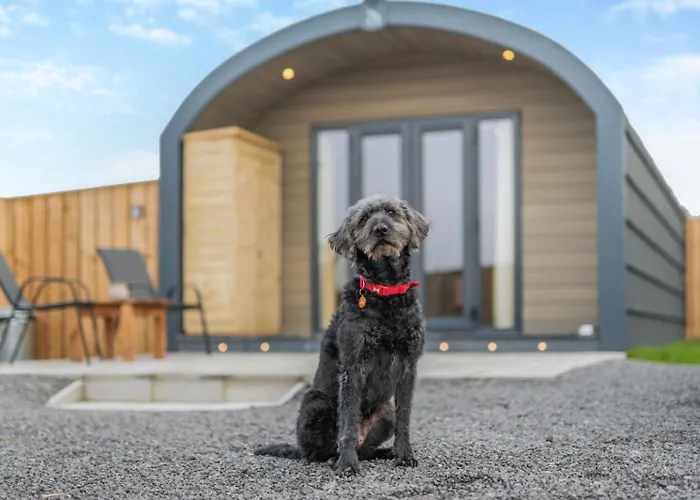My Happy Hounds Glamping