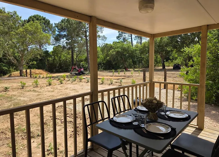 La Vigne