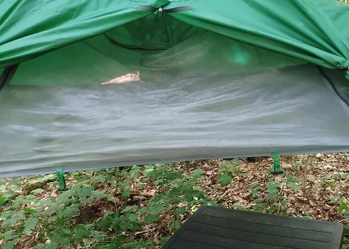 Baumzelt Mitten Im Wald Bis 180Kg