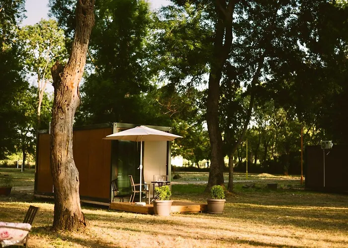 Neptun Beach & Forest Cabins