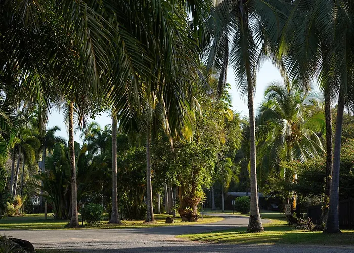 Daintree Beach Resort