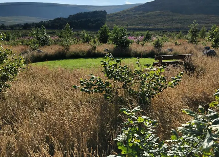 Oakwood Glamping Mourne Mountains