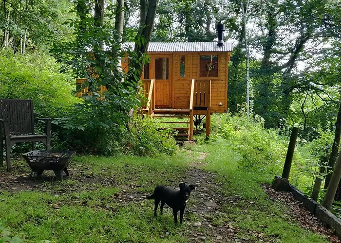 Peggy'S Cabin In The Woods