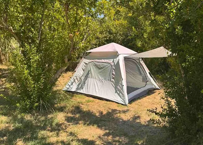 Greenfield Campsite