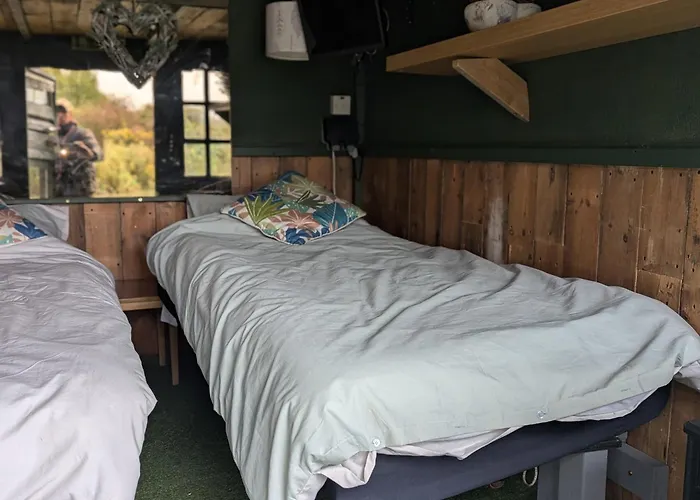 The Reedy Cabin