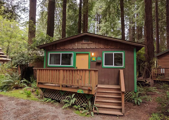 Emerald Forest Cabins Trinidad