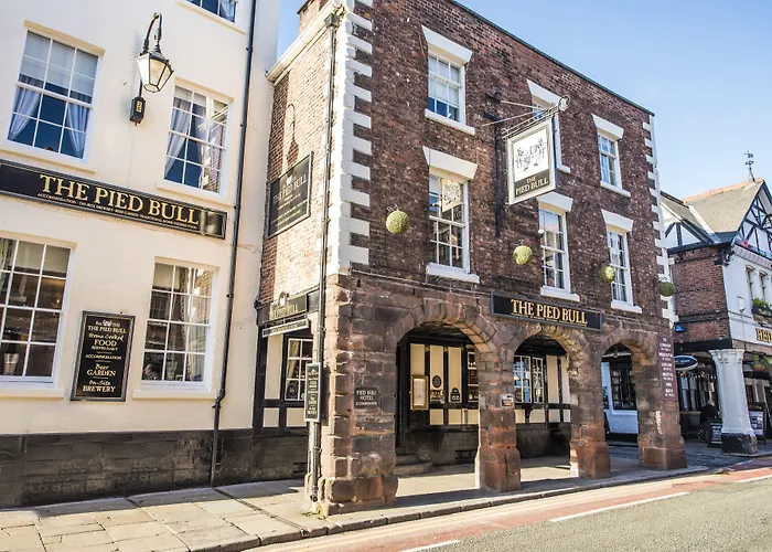 The Pied Bull
