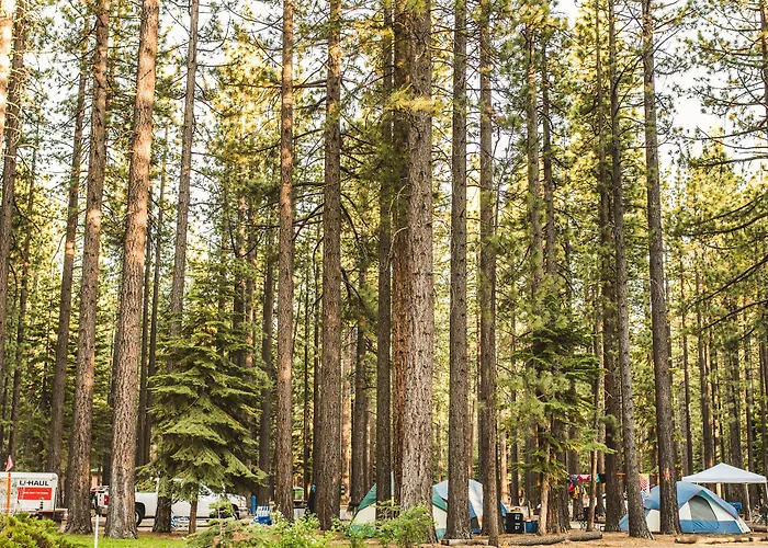 Tahoe Valley Campground South Lake Tahoe