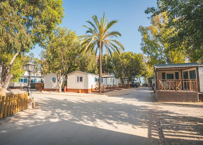 Holacamp Sant Salvador