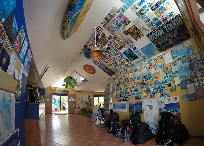 Cool Bananas Backpackers