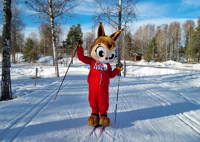 First Camp Moraparken - Dalarna