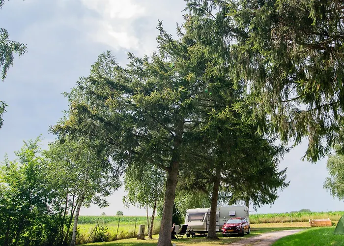 Camping Onlycamp L'Oree D'Alsace