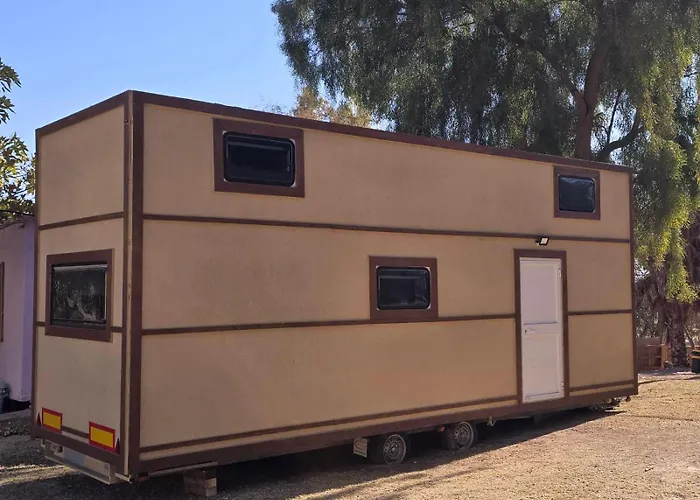 Desert Hom By Glow