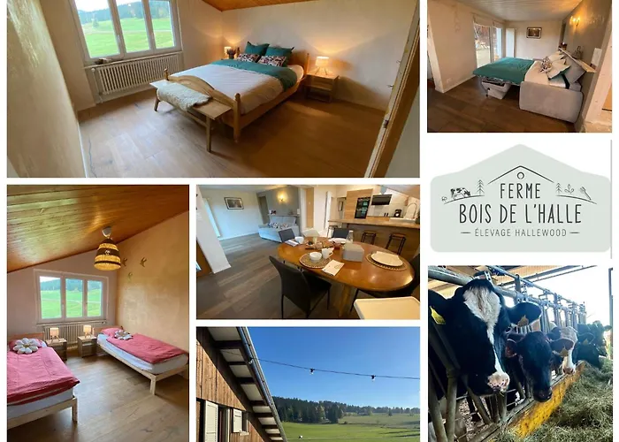 Tente Glamping Dans Les Arbres De La Ferme Du Bois De L'Halle