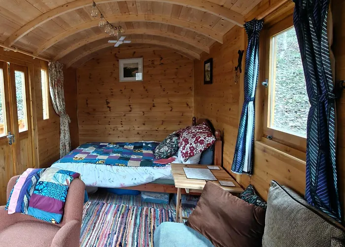 Peggy'S Cabin In The Woods