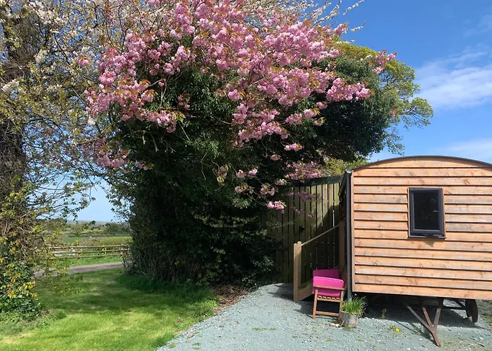 Cosy Shepherd'S Hut Near Shrewsbury