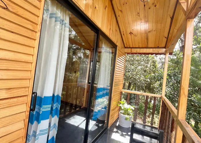 Cabana Olin