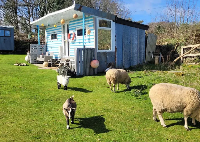 Treguth Glamping Unique Experience - Themed Huts