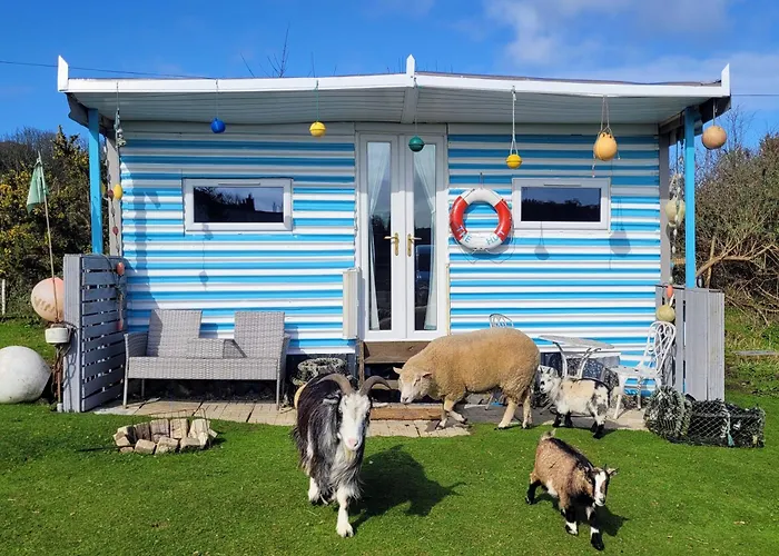 Treguth Glamping Unique Experience - Themed Huts
