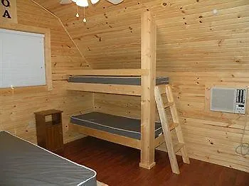 Wellington Koa
