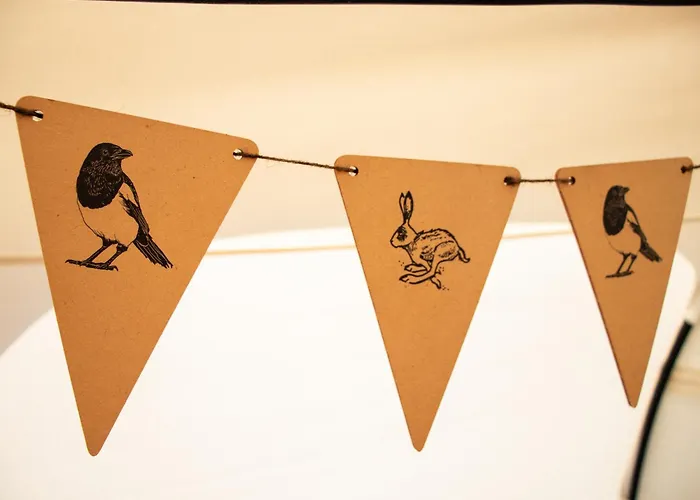 Stargazer Bell Tent