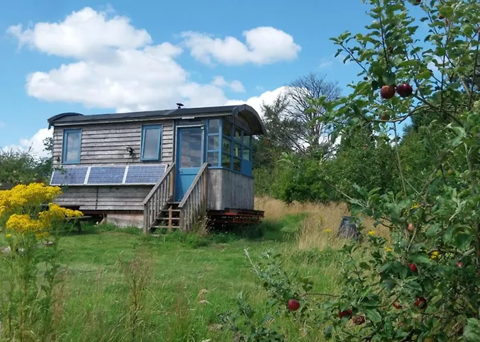 Ecopod Holidays