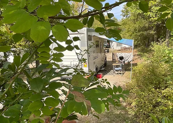Mobile Home Confort 2 Pers Avec Terrasse - Api-1-52-1955