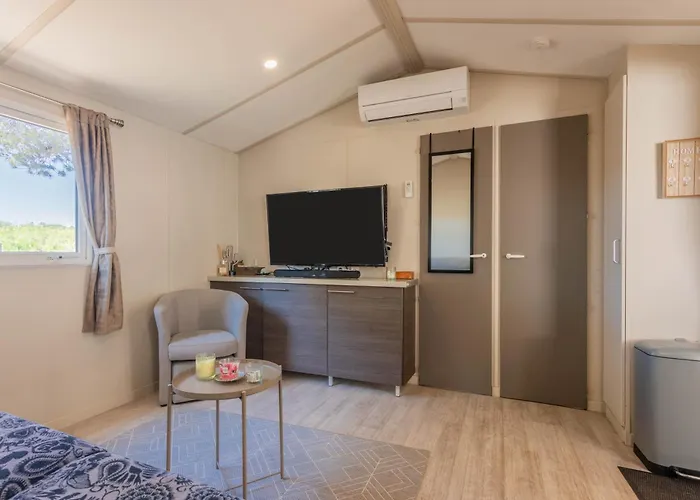 Joli Mobil Home Puget Sur Argens