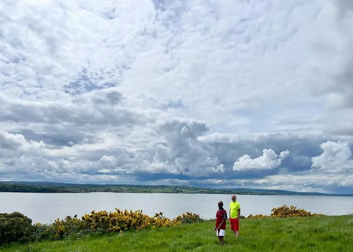 Shannon Estuary Glamping Budget-Sustainable-Biodiversity Habitat--Rustic-Countryside Holiday Accommodation