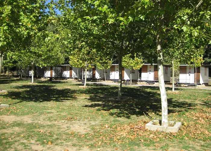 Holacamp Ainsa