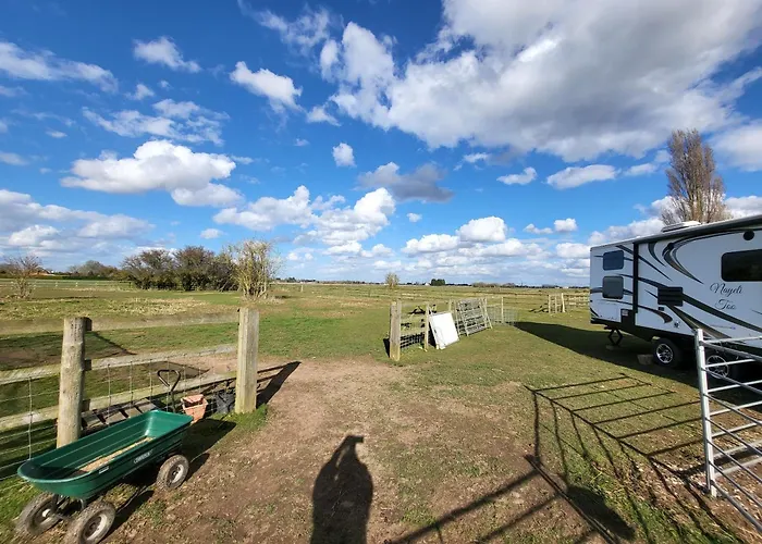 Glamping With Llamas