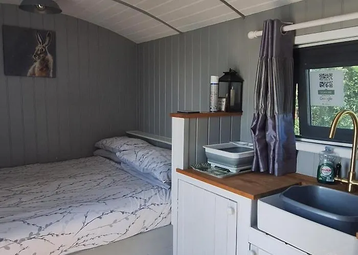 Pen-Rhos Luxury Glamping "The Hare Hut"