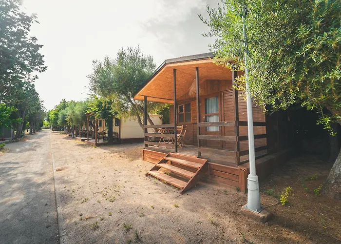 Holacamp Sant Salvador