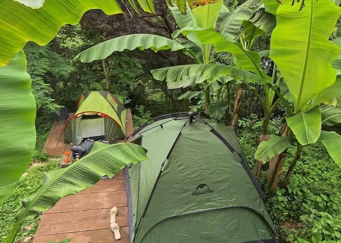 Forest & Sea Campsite