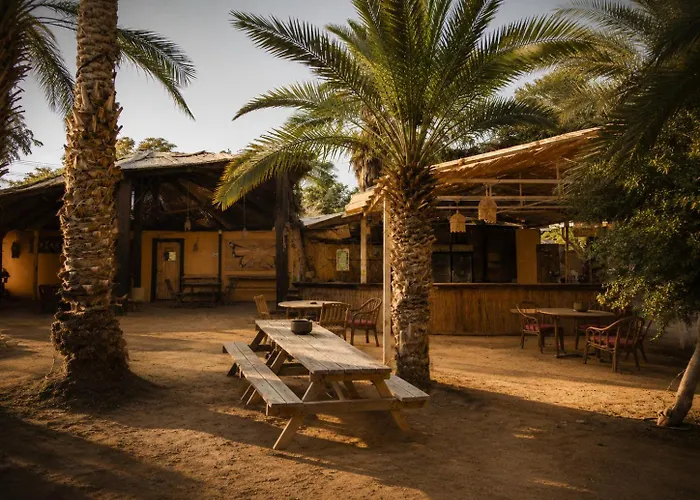 Desert Hom By Glow
