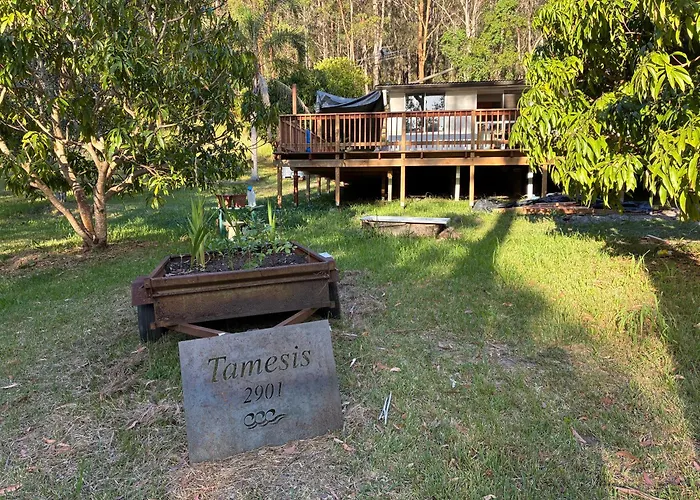 Tamesis - Wildernest