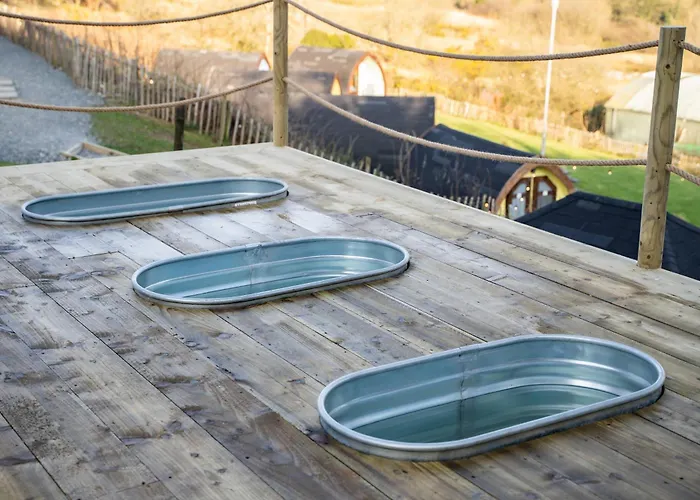 Revive Wellness Pods