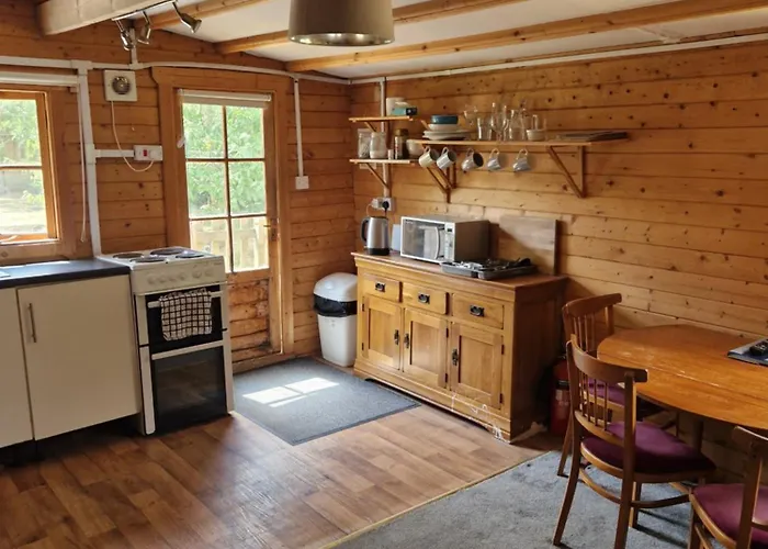 The Cabin - This Is Not The Ritz But It Is Better Than Camping I Have Whippets And Greyhounds