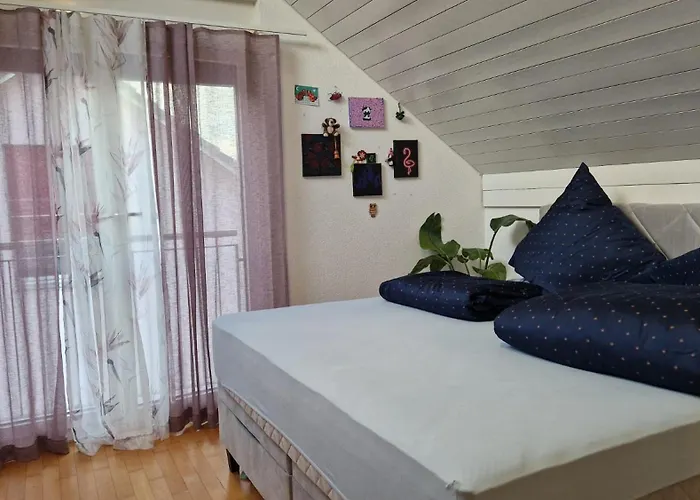 Family Room In A House In Allschwil, Basel