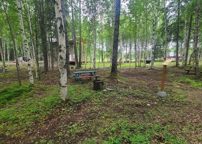 Houston Grass Station Campsite #40