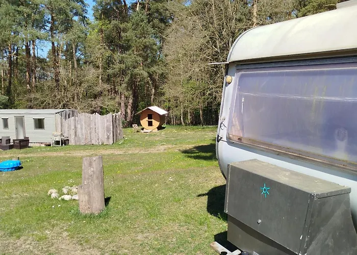 Retro Caravan Auf Tierschutzhof Am Wald